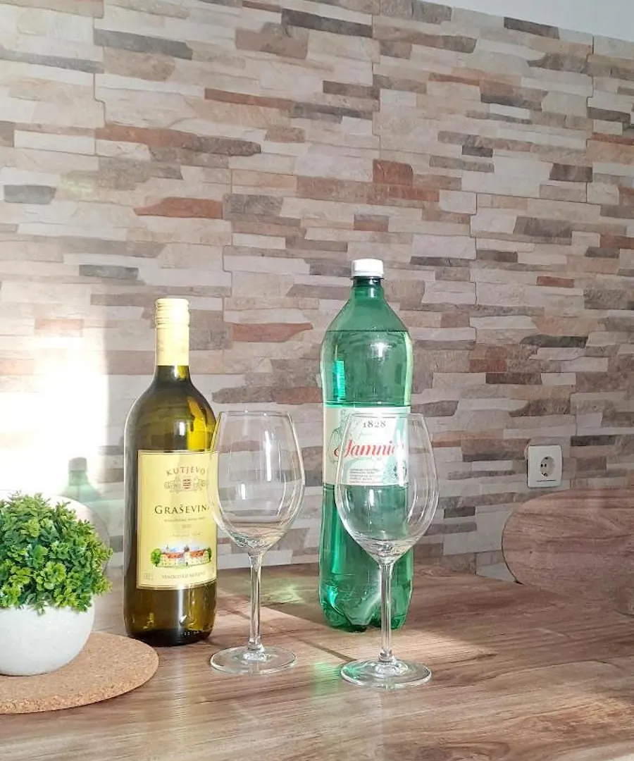 Dignano Apartment Vodnjan